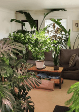 Home Design Features That Look Great on Instagram but Not in Real Life