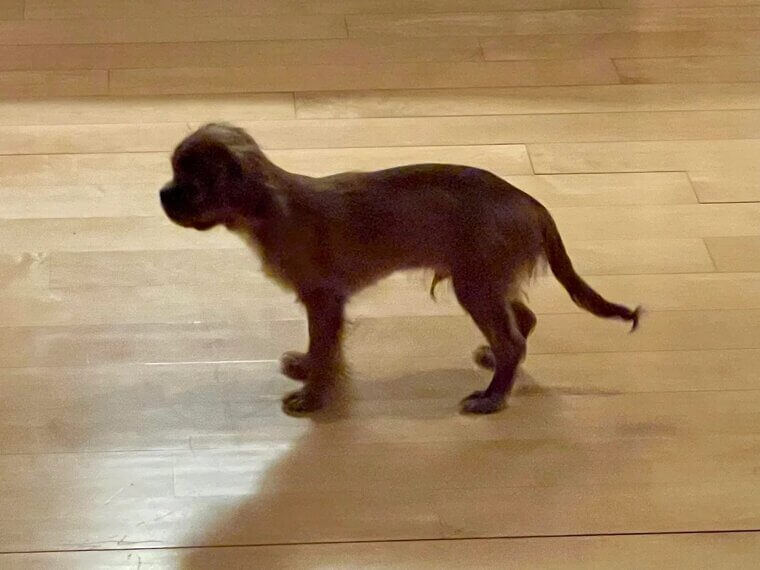 They're Stiff When Touched