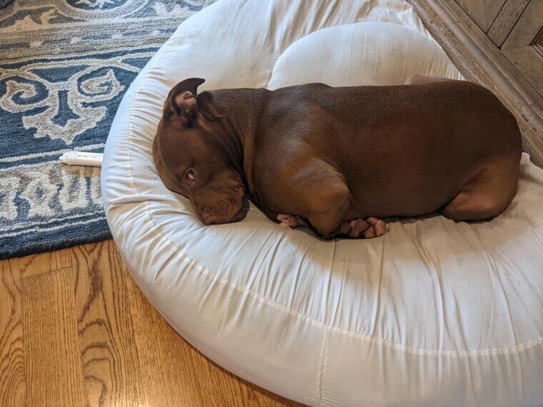 They Prefer to Be Alone