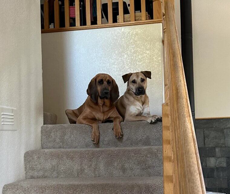 They Don't Come to You