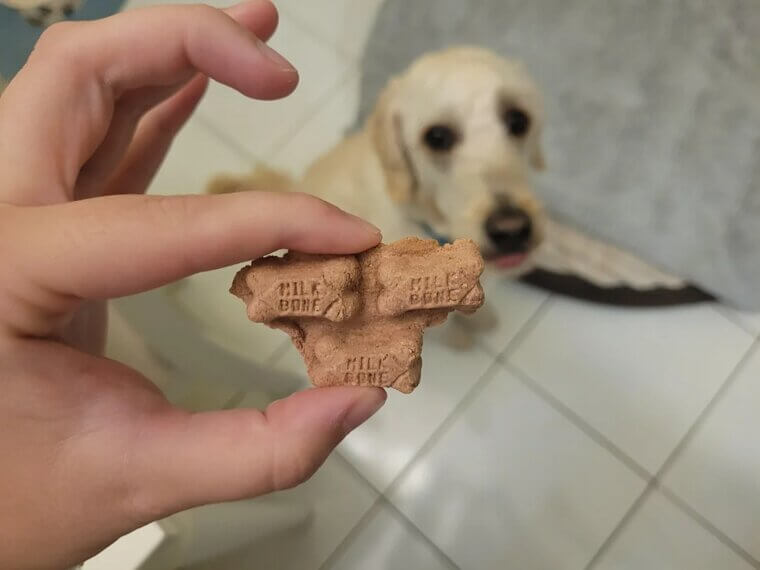 They Refuse to Take Treats