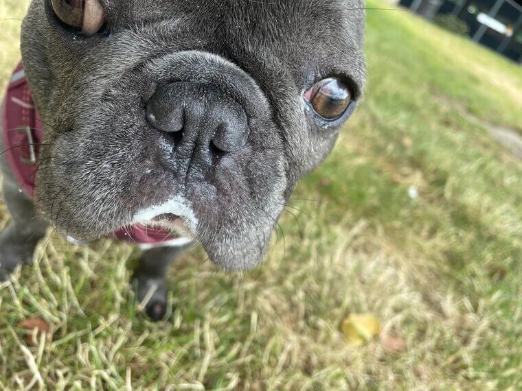 They Avoid Sniffing You