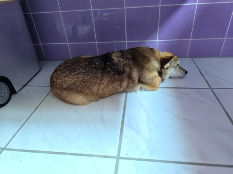 They Move Away When You Approach