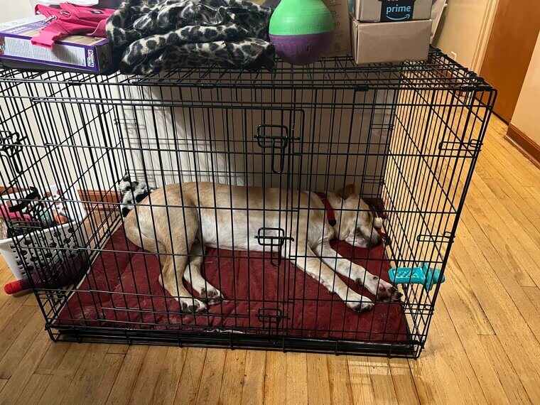 They Don't Engage in Training