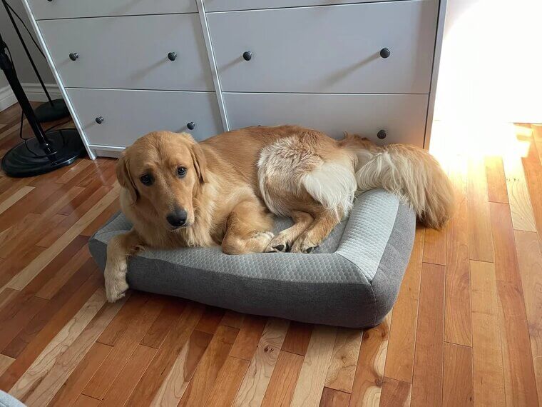 They Won't Sleep Near You