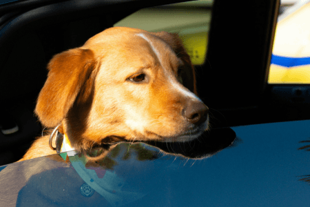 Amazon Car Finds That Are Surprisingly Useful