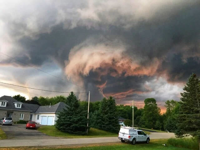 A Backyard View of Nature’s Intensity