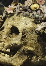 Earth’s Hidden Quirks: A Closer Look at the World’s Most Unusual Sights