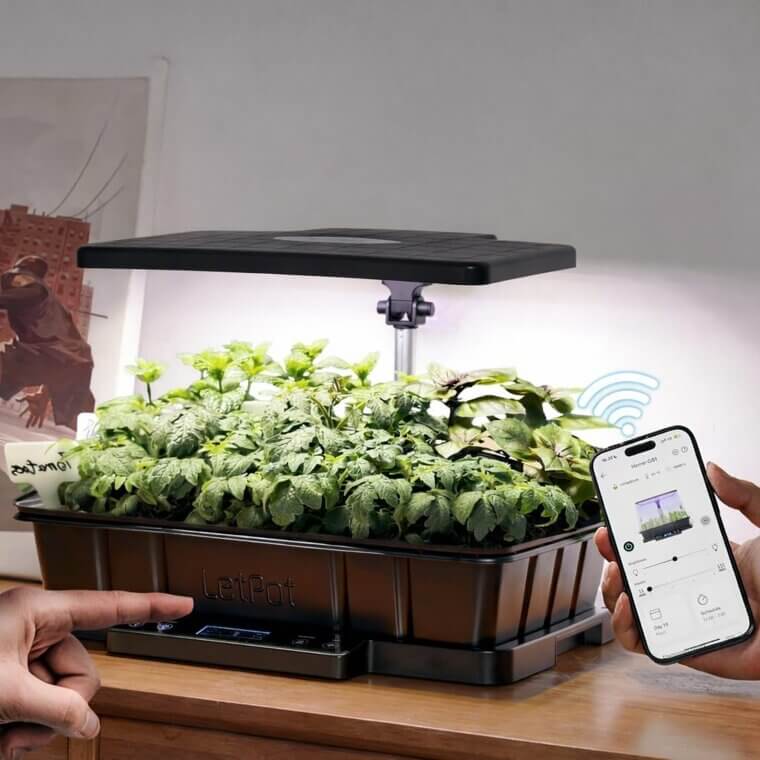 LetPot Seed Starter - Your Indoor Garden's Best Friend 