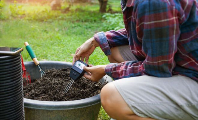 These Smart Soil Sensors Will Tell You Exactly When to Water Your Plants