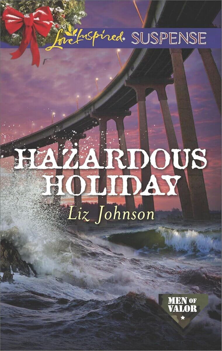 Thrilling Romance: Hazardous Holiday - Navy SEAL Adventure 