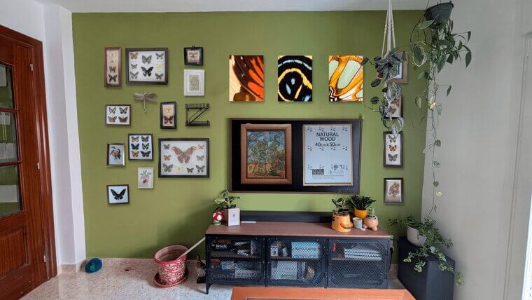 Gallery Wall DIY