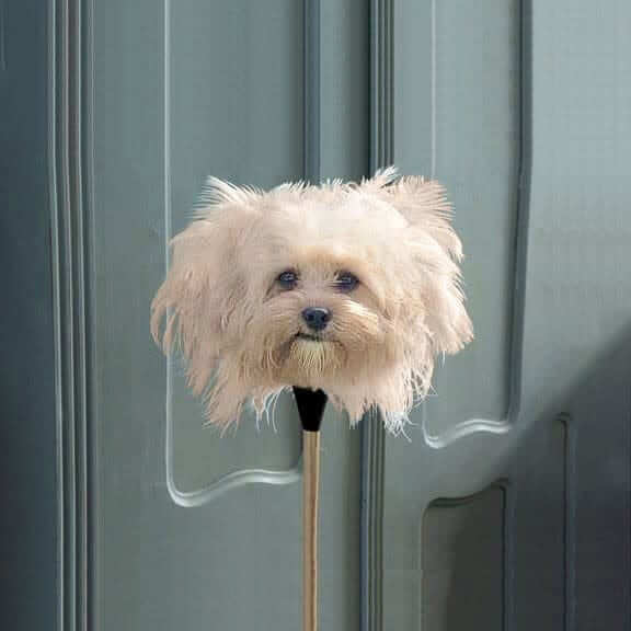 Doggy Duster