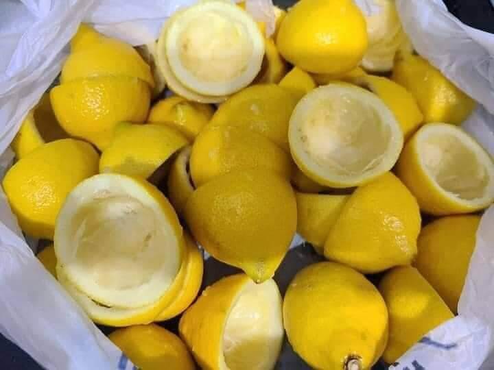 Lemon Peels