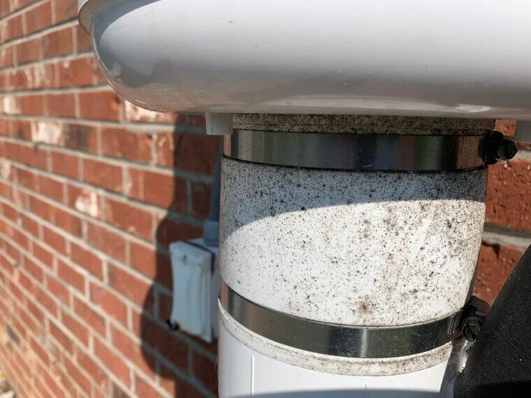 Checking for Radon and Mold