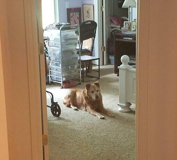 Inside the Room Grandma Passed Away in