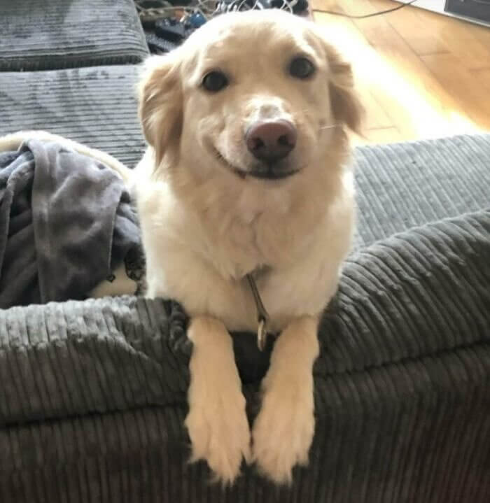 A Smile That Warms Even the Coldest Heart