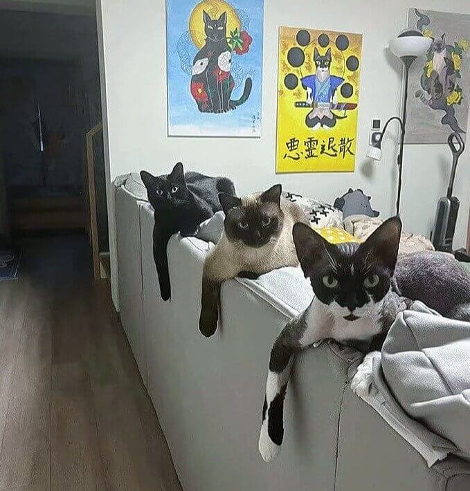 Be Afraid - Be Very Afraid