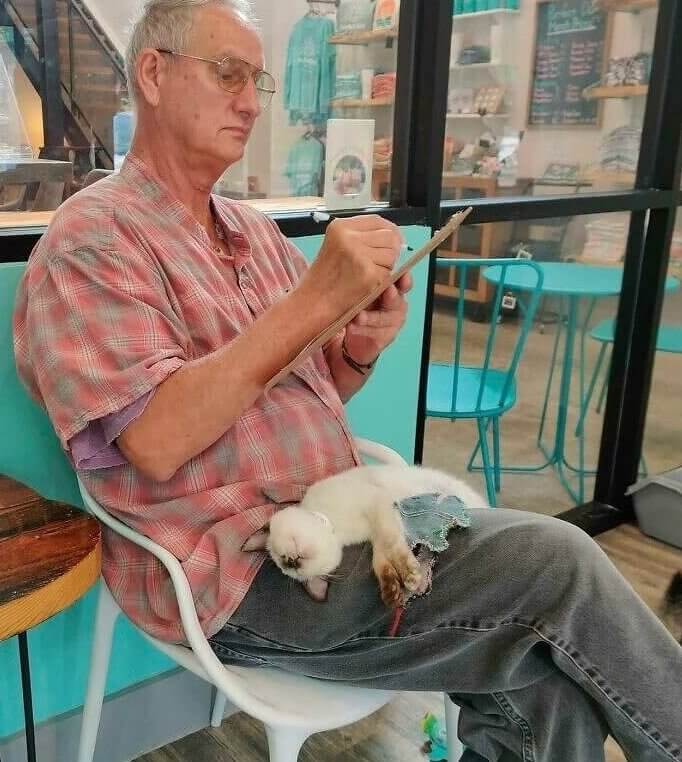 Taking the Kitty Home