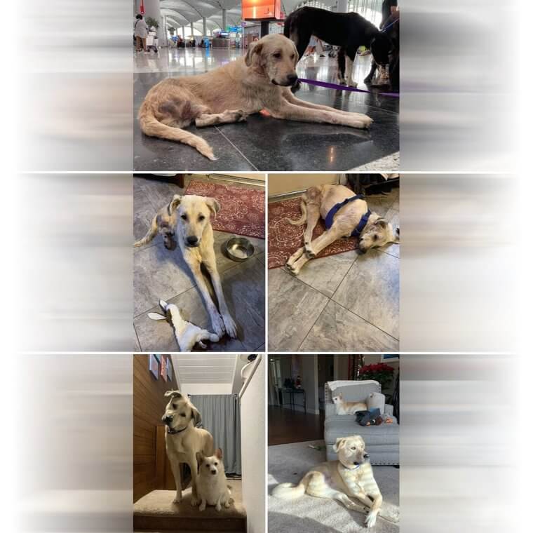 The Ultimate Glow-Up