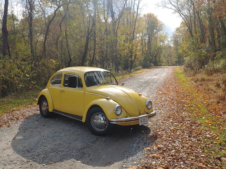 1962-1969 Volkswagen Beetle