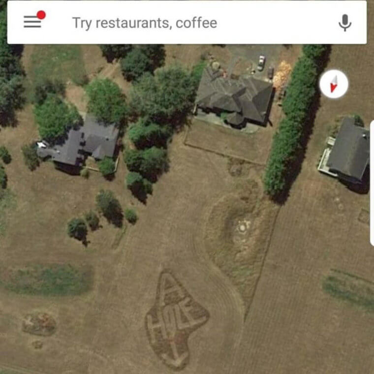 ​This Neighbor Who Mowed Their Lawn In A Shape That Said “A-Hole”