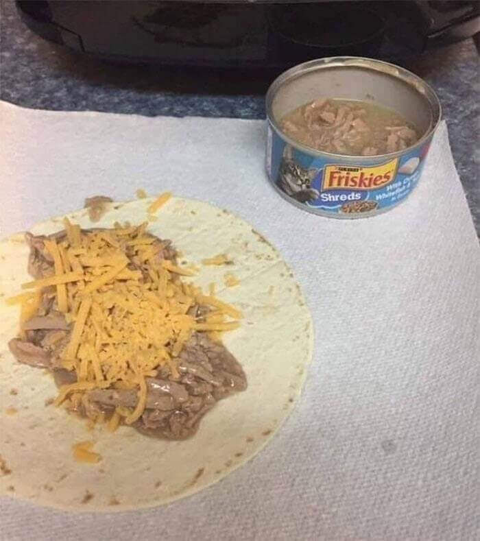This Person Put Cat Food In Their Food Thief’s Tacos