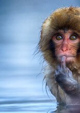 Wildlife Photos That Prove Animals Are The Funniest