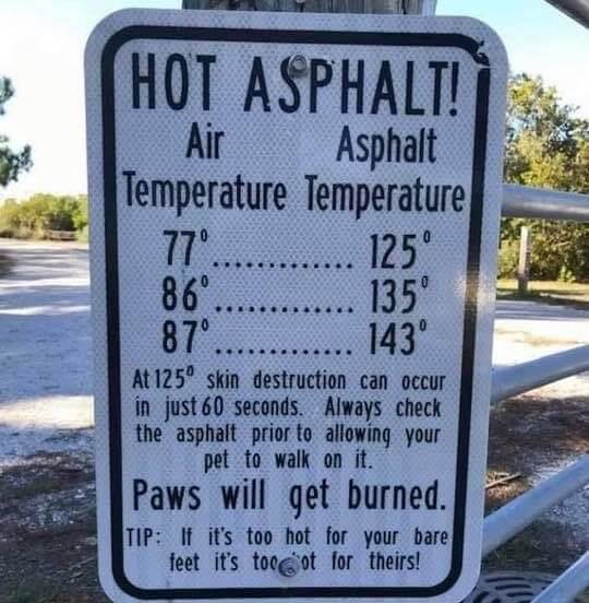 "The Ground Is Lava"