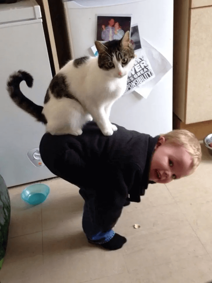 Onward Tiny Human