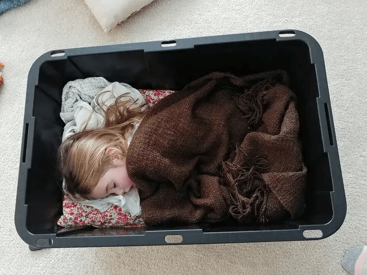 Hide And Sleep