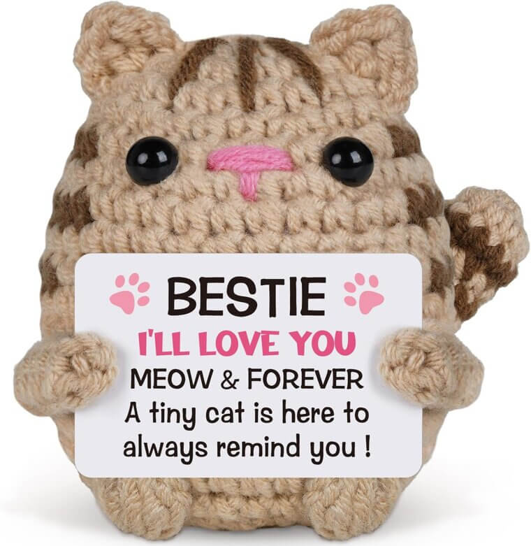 Crochet Cat Gift for Women - Perfect for Friends & Teachers 