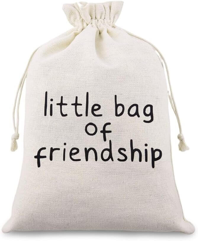 Friendship Gift Bags - Celebrate Your Bestie with Love! 