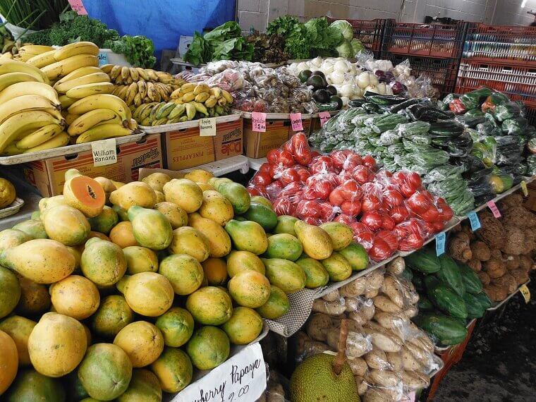 Access to Fresh Food