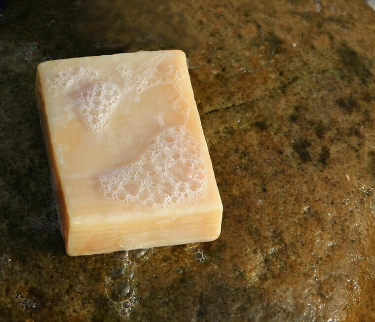The Soap Bar Slice: A Scented Barrier for Deer and Rabbits