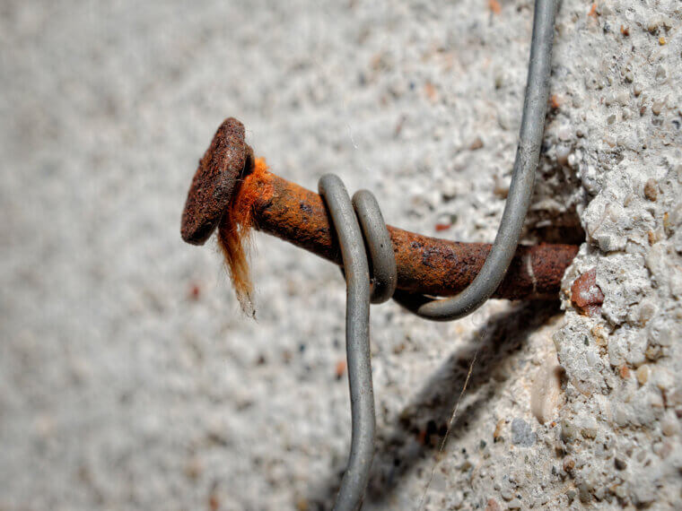 The Rusty Nail Trick: Adding Iron to Your Hydrangeas