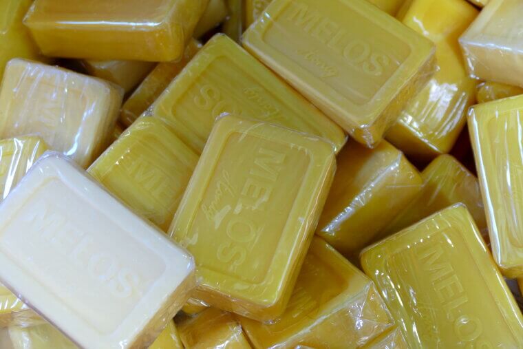 The Soap Suds Sentry: Keeping Aphids at Bay