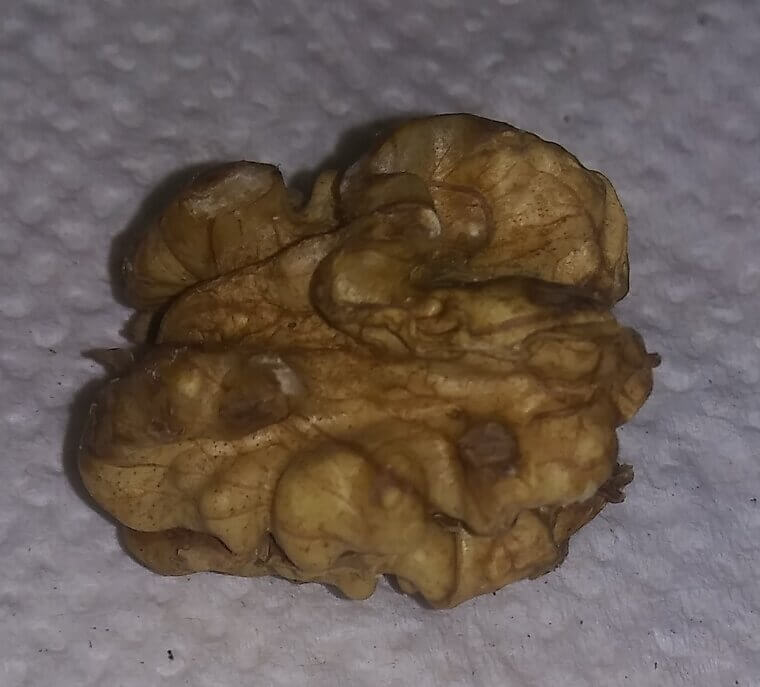 The Walnut Shell Walkway: A Crunchy Deterrent for Slugs