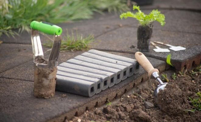 Gardening Secrets From Grandma: Natural "Green Thumb" Tricks That Work