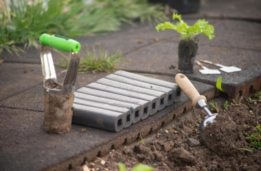 Gardening Secrets From Grandma: Natural "Green Thumb" Tricks That Work