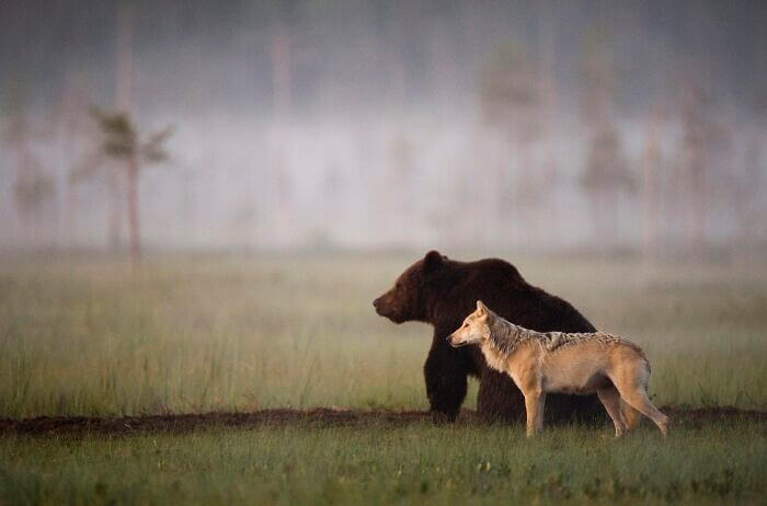 An Unlikely Duo