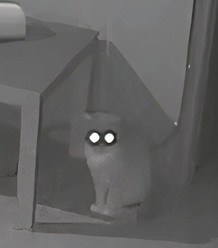 A Seriously Furry Glowing-Eye Agent