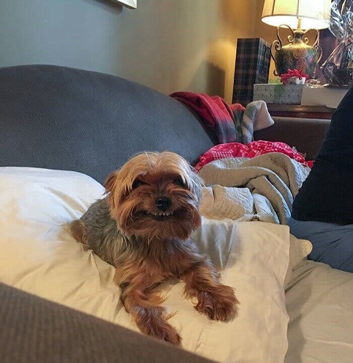 Christmas' Smiling Reunion