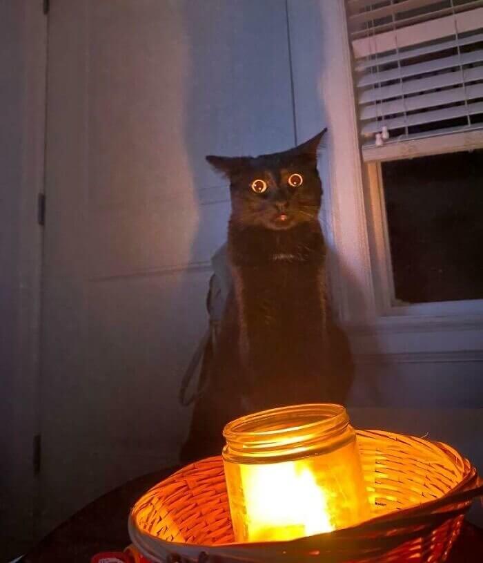 Winston Discovers Candles