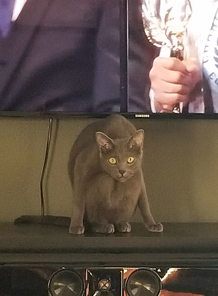 The Not-So-Conventional Pose