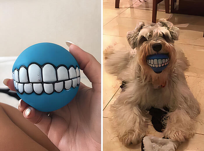 This Ball Bites Back With Dentures