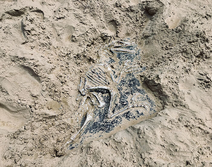 This Sandpit Has Fake Bones Buried in the Sand for Kids to "Discover"
