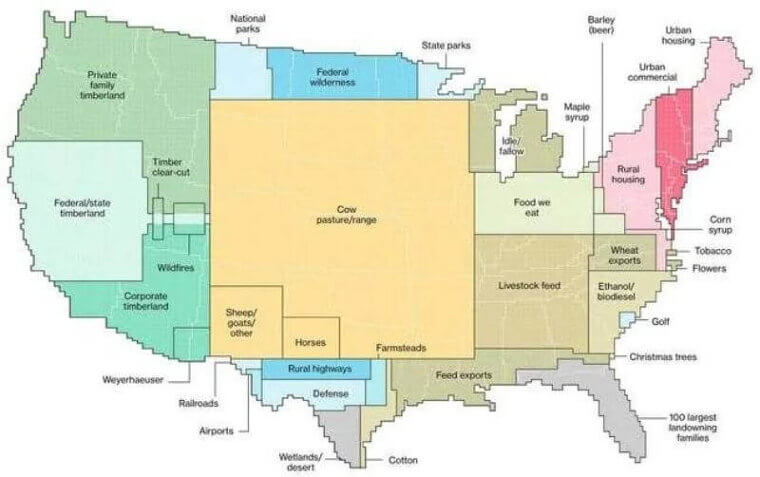 Understanding Land Use