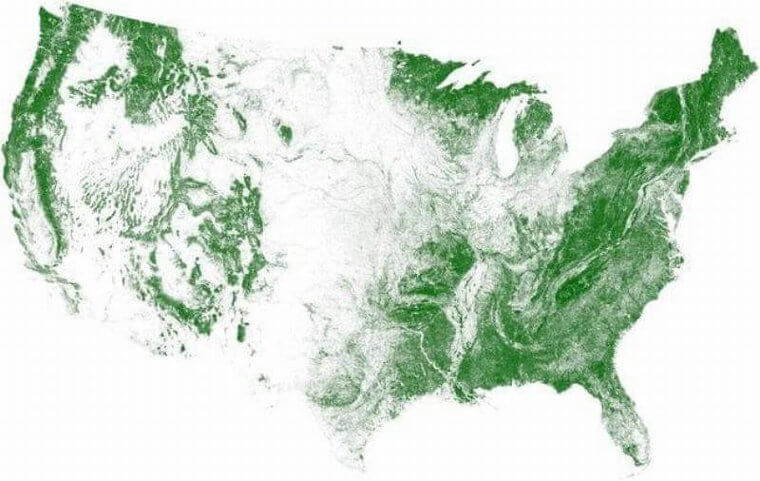 Here's Where American Forests Are