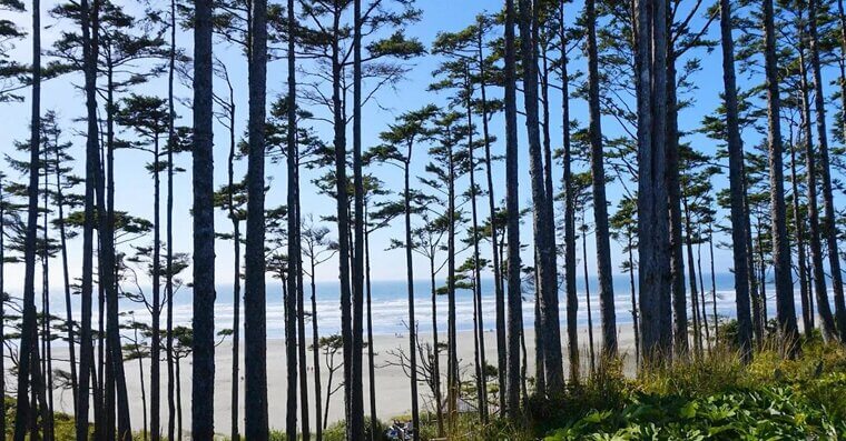 Seabrook, Washington